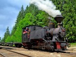 mocanita viseu_3