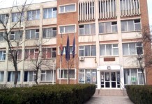 Elevii de la „Traian Vuia” primesc fructe