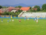 avintul barsana – speranta coltau
