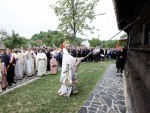 buzesti6