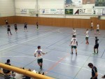 minaur