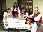 olimpiada sibiu 2015_2