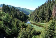 Cât mai dăm pe protejarea naturii?