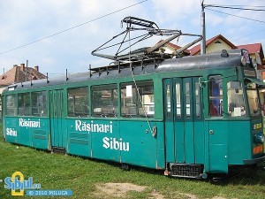 rasinari