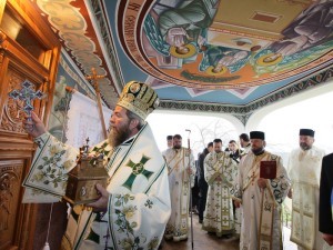 hovrila IMG_3889