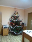 brad_7
