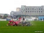 csm-steaua