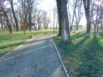 DSC03054