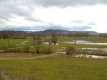 Hectare de teren inundate de riul Dobric