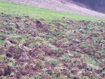 Photo0069