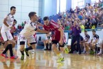 minaur – timisoara