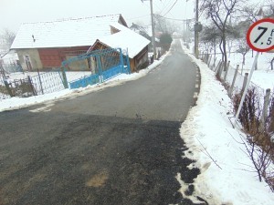 DSC03359
