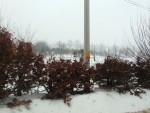 DSC03364