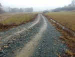 DSC03530