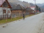DSC03804