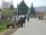Basesti4_Graiul Maramuresului
