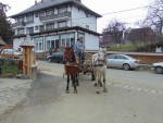 Budesti2_Graiul MM