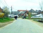 DSC04502