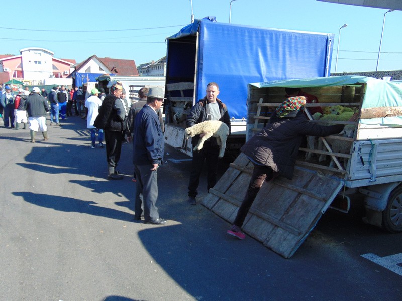 DSC05065