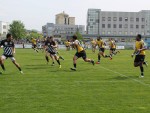 csm stiinta – universitatea cluj
