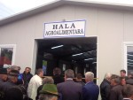 hala poieni2