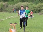 orientare, electro sistem