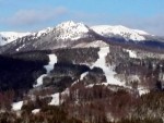 partii cavnic