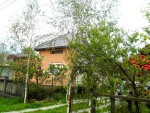 Cei trei mestceni la poarta domnisoarei Camelia
