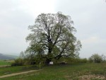 DSC04782