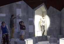 Pisica verde pierdută în labirintul adolescenţei
