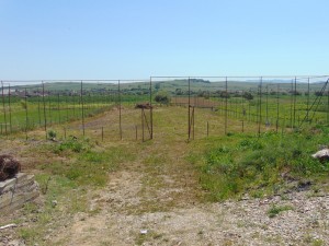 DSC06206