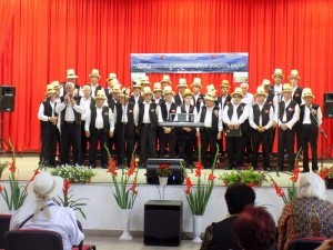 Sărbătorile-culturale-ale-oraşului-Şomcuta-Mare2