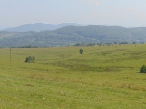 DSC06274