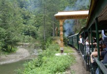 Ecologică
