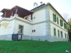DSC06464