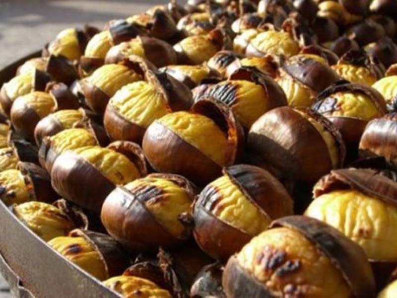 castane