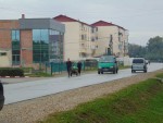 ulmeni2