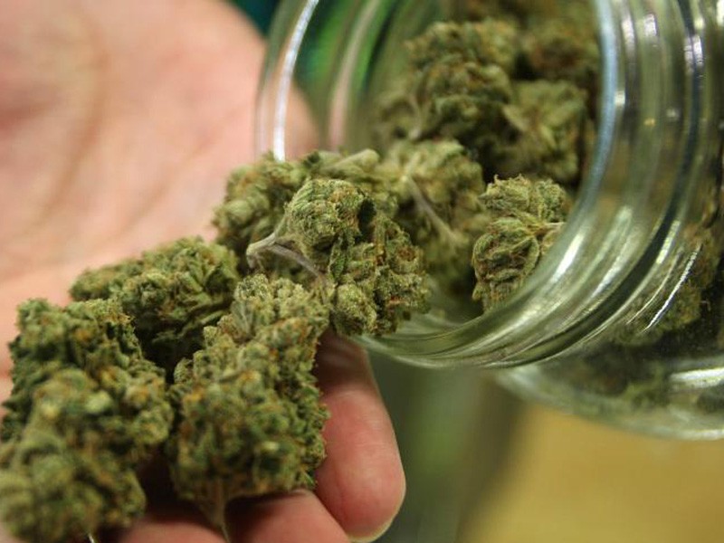 cannabis