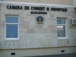 ccimm