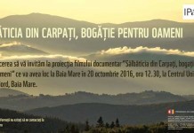 Sălbăticia din Carpaţi, bogăţie pentru oameni