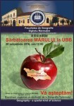 maramarul2016