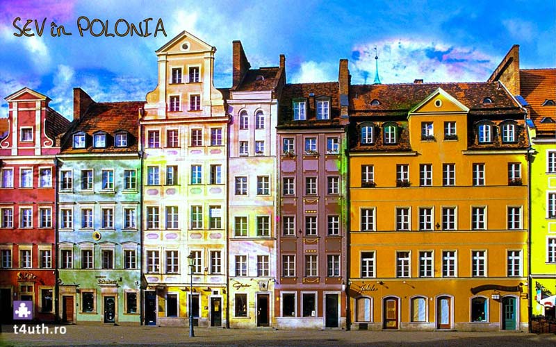 Voluntariat-Polonia