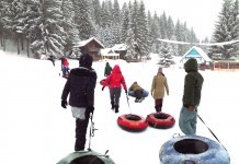 Ziua Internaţională a Zăpezii