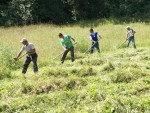 sezonier