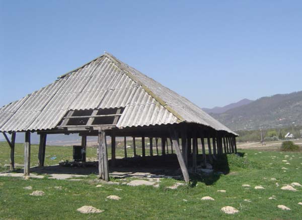 DSC06455