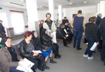 Fermierii de la APIA Tg. Lăpuş