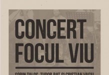 Seară de folk