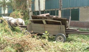 caruta-cu-fier-vechi