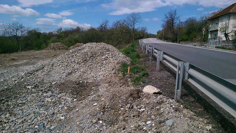 mesteacan1