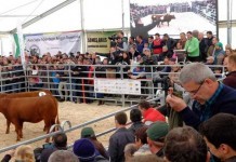 Agraria 2017 – Gândul spre viitor